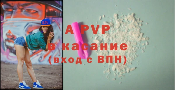 сатива Балахна