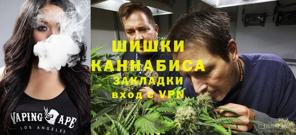 сатива Баксан
