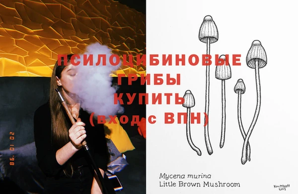 сатива Баксан