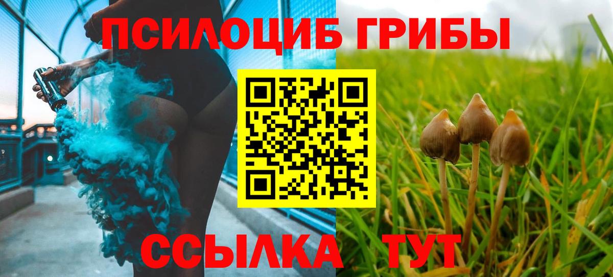 Галлюциногенные грибы GOLDEN TEACHER  Вход с VPN  Семилуки  Галлюциногенные грибы Psilocybe 